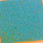 Neoprene Indian Teal