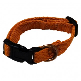 AC Dog Large 1-Inch Gold Organic Cotton Collar, 18-Inch to 26-Inch