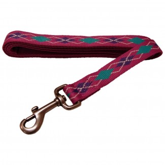 AL Pink Argyle Dog Leash, 3/4-Inch by 5-Feet Recycled Poly Leash