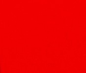 Neoprene Red