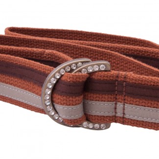 LR Orange Webbing Belt with Ribbons and Rhinestone D Rings