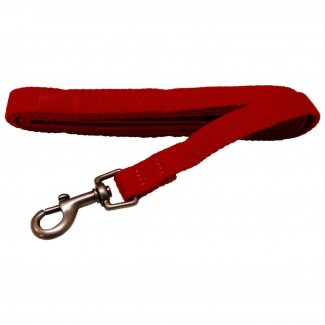 AL Saffron Dog Leash, 1-Inch by 5-Feet Organic Cotton Leash
