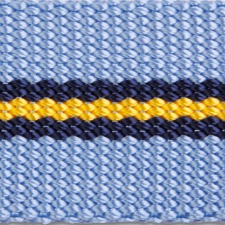 HLW Heavy Weight Nylon Stripe Pastel Blue Multi Webbing